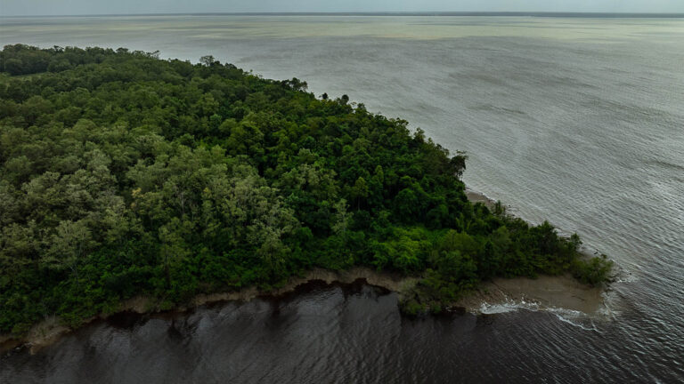 Uma análise crítica sobre as pesquisas de petróleo na Foz do Amazonas