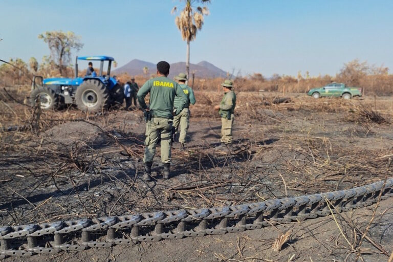Boiada e seus donos devem sair de áreas que destruíram no Pantanal