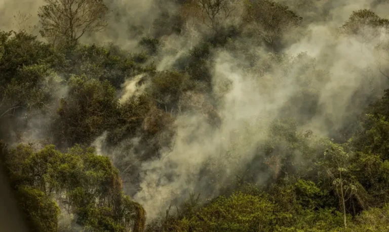 Crise climática pode provocar nova extinção em massa