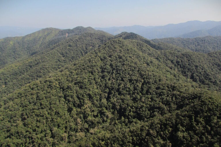 Enquete mantém alta rejeição a rebaixamento da Serra do Itajaí de parque para floresta nacional