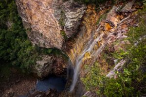 Estudo reforça importância de proteger a Serra da Chapadinha, na Bahia