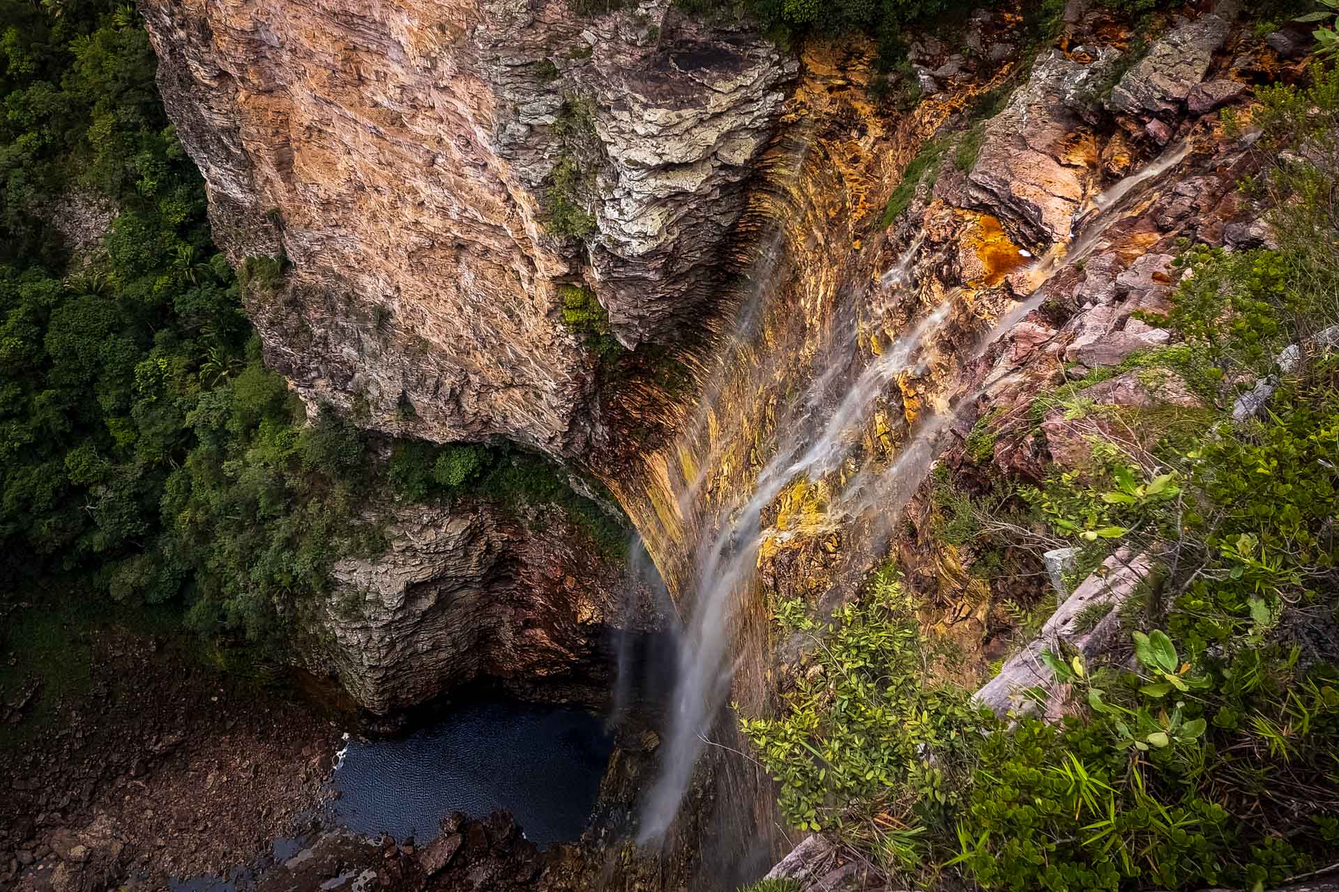 Estudo reforça importância de proteger a Serra da Chapadinha, na Bahia