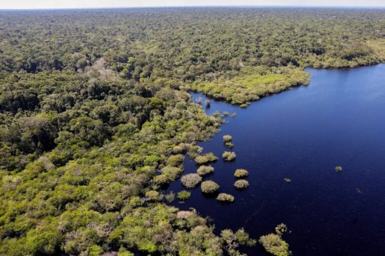 Fundo de florestas tropicais pode ter fatia fixa para indígenas e comunidades locais