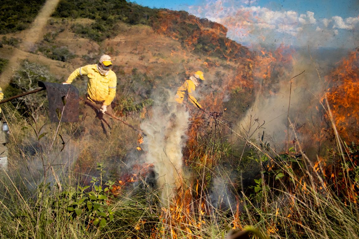 Governo confirma mobilização de 4.600 brigadistas para combate ao fogo no Brasil em 2025