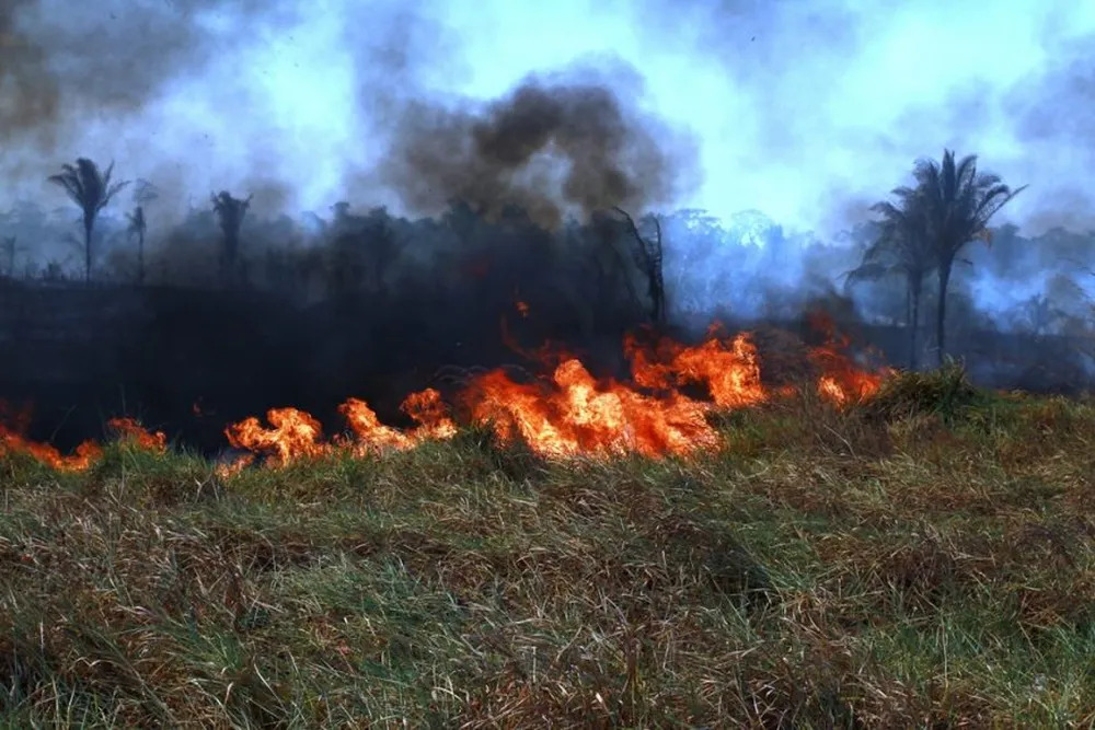 Incêndios florestais ocorrem em RO há mais de 40 mil anos