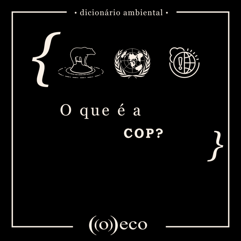 O que é a COP?