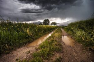 O que é o "cheiro de terra molhada"?