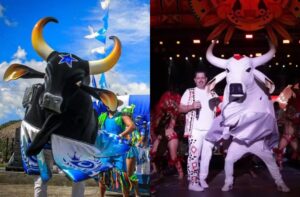 Ouça os álbuns de 2025 dos bumbás Caprichoso e Garantido