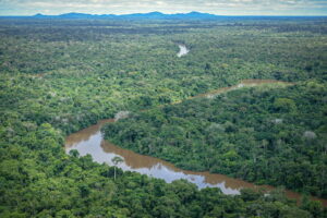 R$ 150 mi do Fundo Amazônia serão destinados à restauração ecológica de terras indígenas