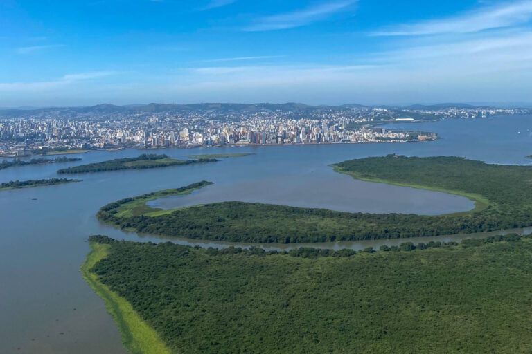 Situação da biodiversidade no RS após enchentes será conhecida em até 3 anos