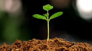 a ferramenta para a sustentabilidade