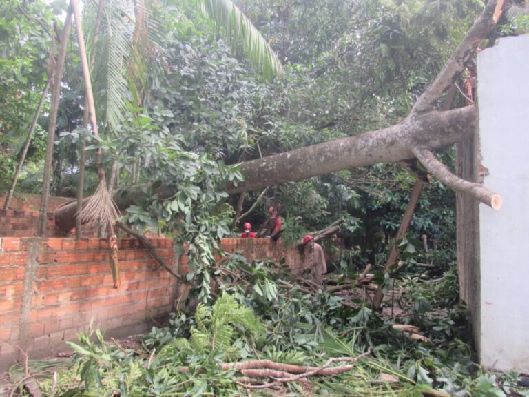 você sabe como é o trabalho e como acionar?