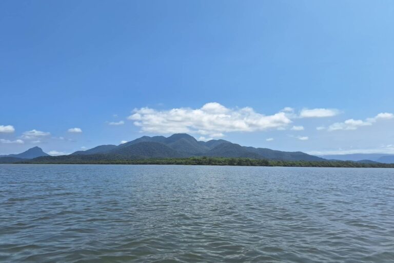 A importância da rede de colaboração em prol da conservação dos manguezais no litoral norte do Paraná