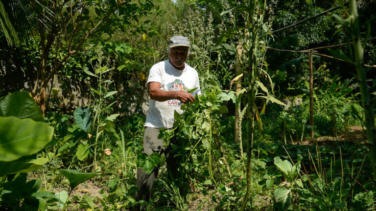 Censo 2022: os quilombolas entre a vida rural e a falta de direitos