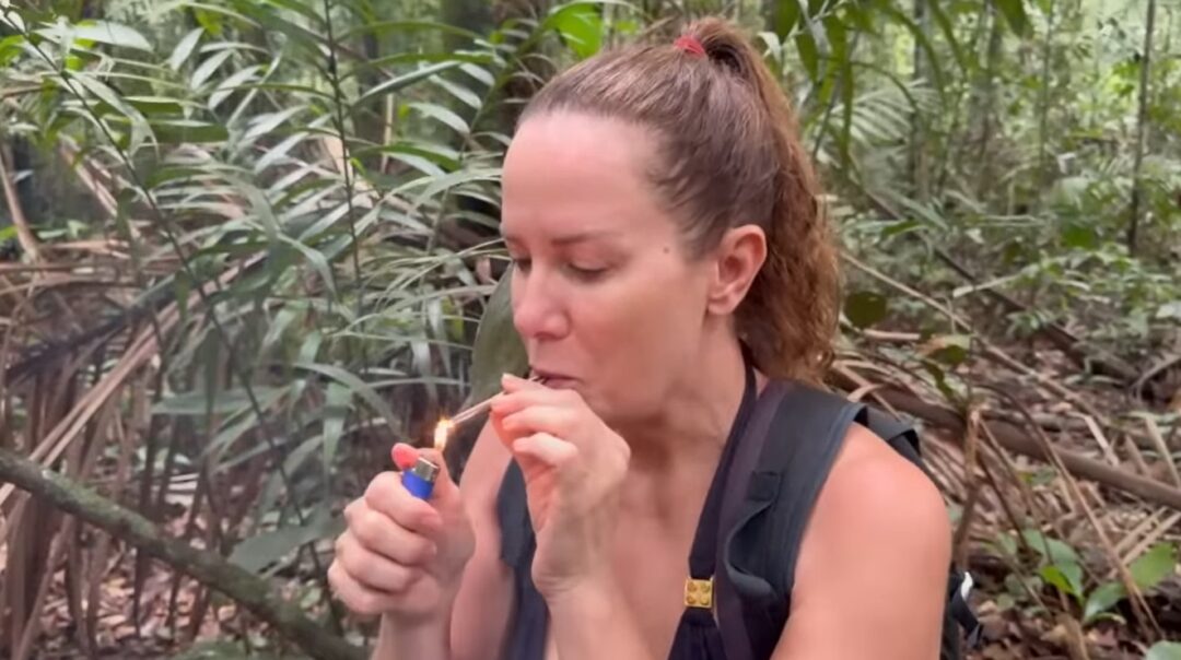 ‘Cigarro de índio’ e outras utilidades: conheça o cipó-ambé