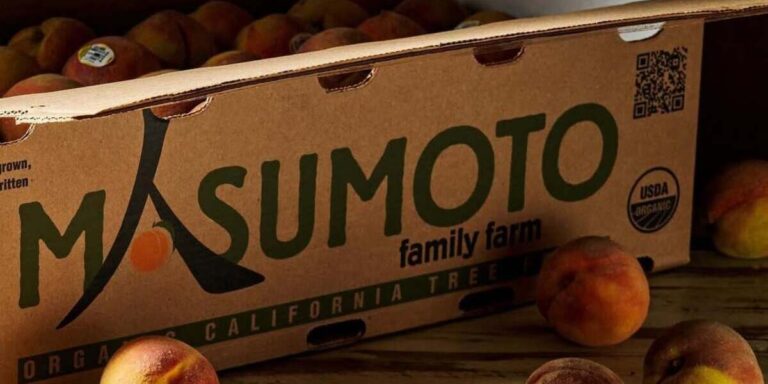 Conheça a fazenda que está salvando frutas raras e sabores esquecidos