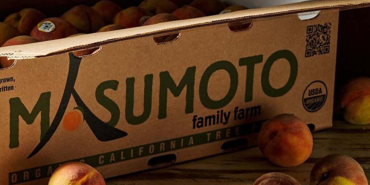 Conheça a fazenda que está salvando frutas raras e sabores esquecidos