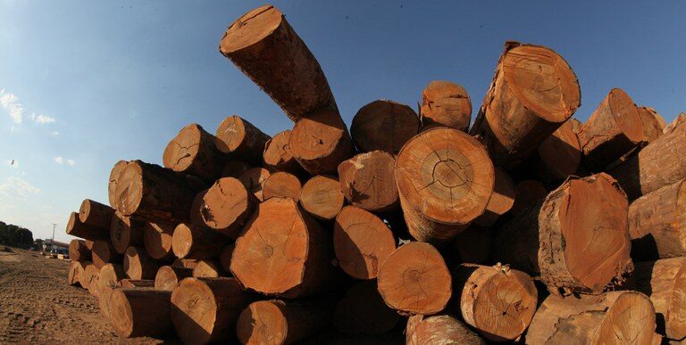 Fundo Clima apoia projeto com madeira na Amazônia