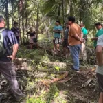 Governo britânico financiará programa piloto para impulsionar atividades sustentáveis na Amazônia