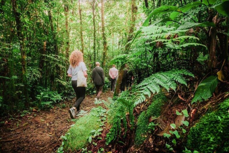 Maior área contínua de Mata Atlântica pode ser mantida com apoio do turismo