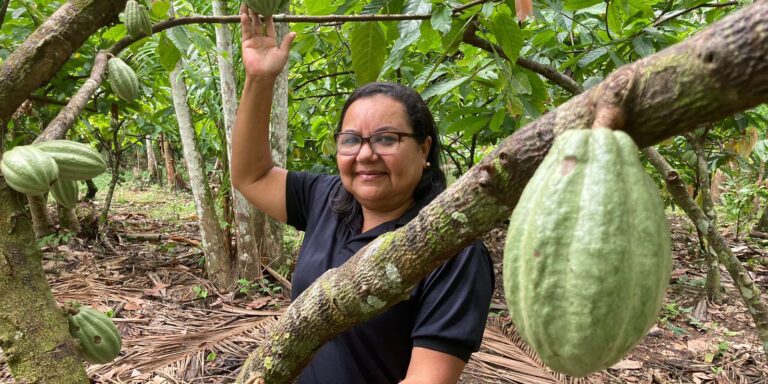 Potencial para bioeconomia atrai investimentos na Amazônia