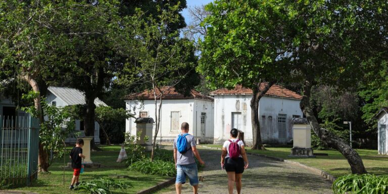 Programação no Mast lembra os 100 anos de visita de Eisntein ao Brasil