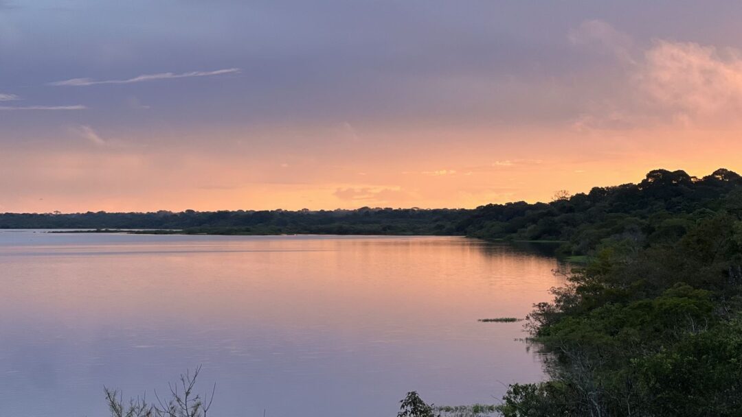 Reserva Extrativista Lago do Cuniã: resistência na Amazônia