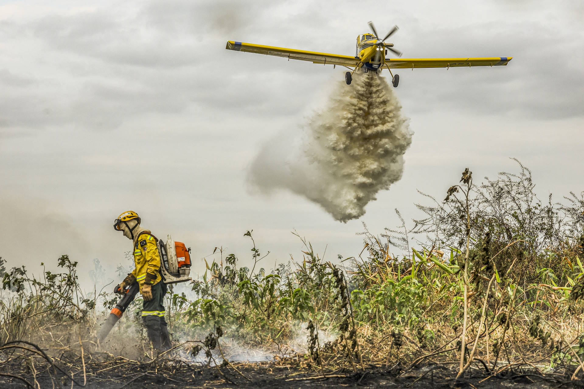 Terras alvo de desmates e incêndios criminosos podem ser expropriadas