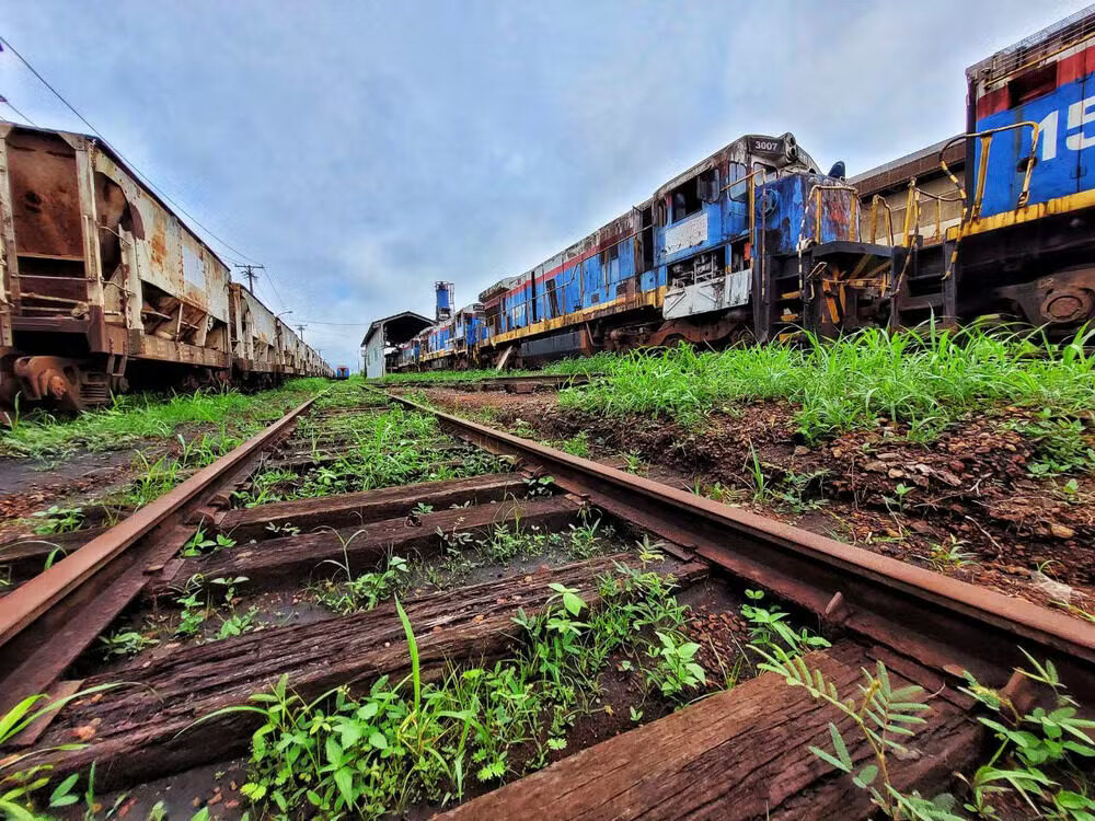 Trem de Santana: movimento local busca recuperação