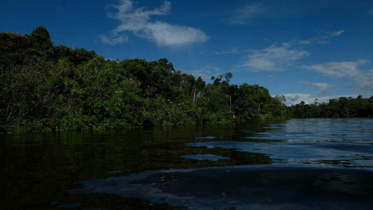 Uma utopia amazônica com ressalvas-3: objetivos e impedimentos para uma utopia amazônica