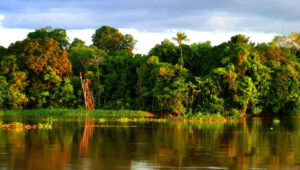 fortalecimento da agricultura familiar e turismo