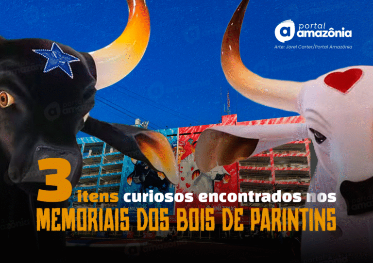 3 itens que só podem ser encontrados nos Memoriais dos bois em Parintins