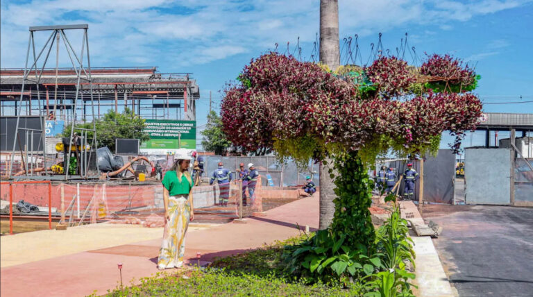 A grilagem ecológica - Amazônia Real