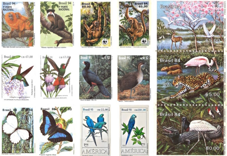 Arte naturalista Demonte - ((o))eco