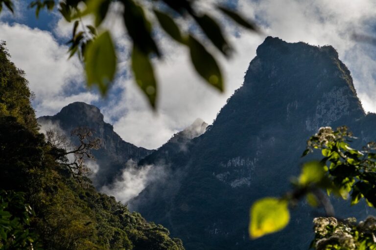 Bioma mais destruído do país, menos de 10% da Mata Atlântica é protegida por UCs