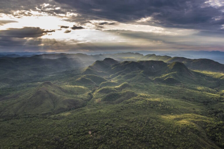 Can Brazil’s protected areas survive the climate crisis?