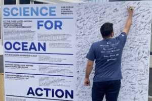 Cientistas pedem urgência em ações para salvar oceanos