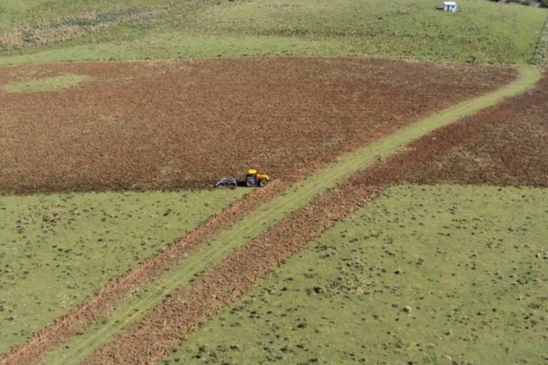 Governo do RS ignora perda anual de vegetação campestre para comemorar a ilusão do Pampa conservado