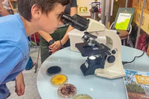 Instituições unem ciência com sabor no 'Chocolate Xingu'