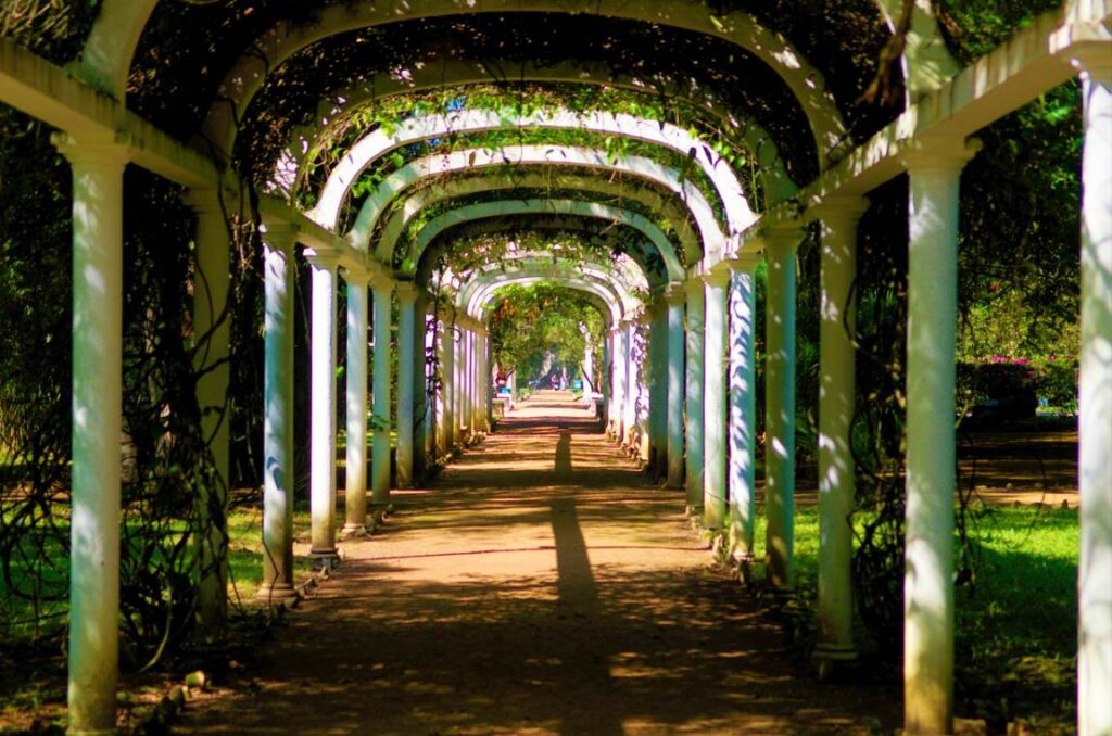 Jardim Botânico do Rio de Janeiro recebe novos servidores públicos