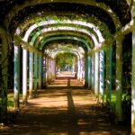 Jardim Botânico do Rio de Janeiro recebe novos servidores públicos