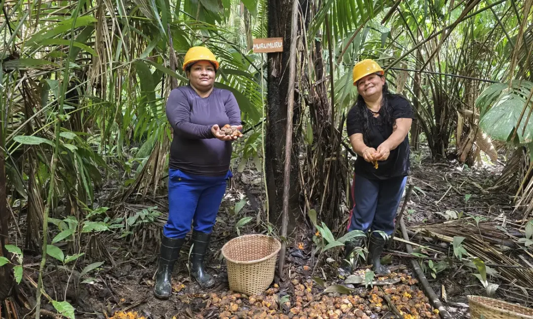 Mulheres extrativistas enfrentam preconceito na Amazônia