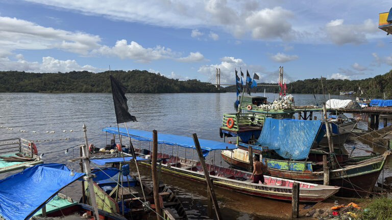 Os sons invisíveis da Amazônia