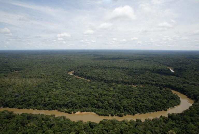 Peru anuncia criação de área protegida em floresta de Putumayo