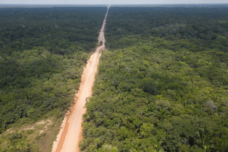 Protected areas along an Amazon highway in sight of land grabbing, deforestation and fire