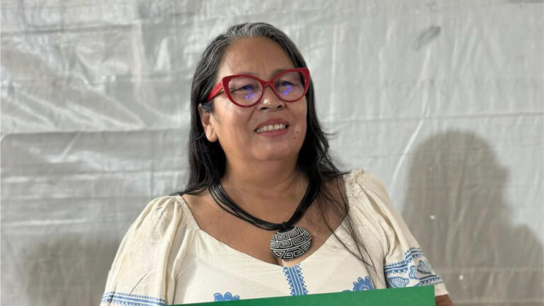 Sineia do Vale: indígenas salvam Amazônia e clima global