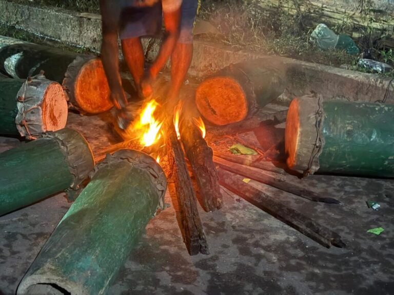 A luta pela memória da batucada do Maranhão