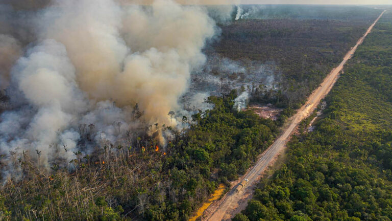 A rodovia BR-319 e a banalidade do mal – 1: uma falha do sistema burocrático