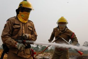 Amazonas registra queda de 67% nos focos de calor em 2025