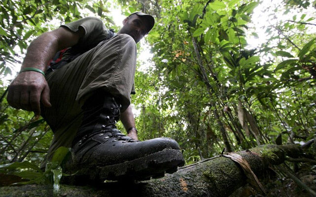 Descubra a história do britânico que percorreu o rio Amazonas